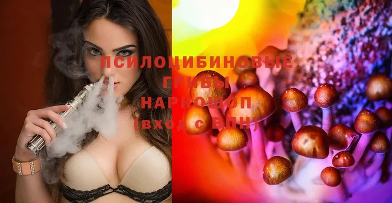 Галлюциногенные грибы MAGIC MUSHROOMS  KRAKEN зеркало  Высоцк 