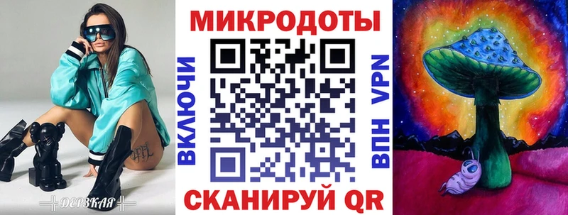 наркота  Высоцк  Галлюциногенные грибы Psilocybe 