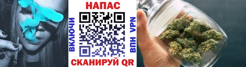 наркота  Высоцк  Марихуана сатива 