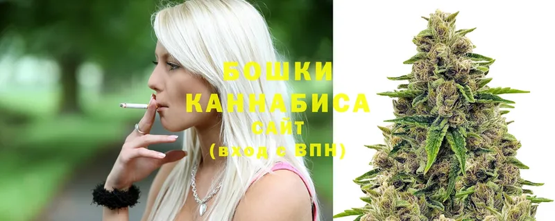 Конопля OG Kush  Высоцк 